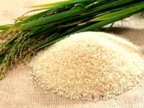 aromatic rice dari Garut