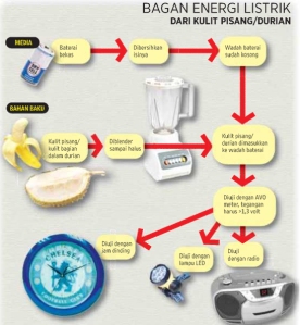 bagan energi listrik kulit buah di indonesiaproud wordpress com